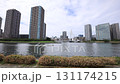 Fall of the Sumida River 131174215