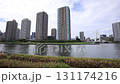 Fall of the Sumida River 131174216