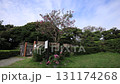 Fall of an old private house 131174268