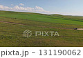 Black pickup truck raising dust driving on dirt road in green meadow 131190062