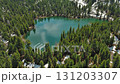 Mountain lake with snow mountains and green forest 131203307
