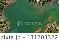 Mountain lake with snow mountains and green forest 131203322