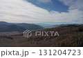 Aerial view of autumn mixed forest in the mountains in bright sun. Aerial drone view Altai Mountains with snow-capped mountain peaks on background. Forward Flight approach drone shot 131204723