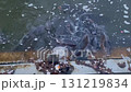 一群鯉魚 131219834