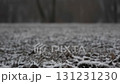 Frost-covered winter ground, natural background with depth 131231230