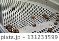 Fresh coffee beans being sorted and processed in a roasting facility 131233599