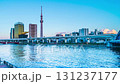 【東京都・台東区-墨田区】隅田川テラスから見る東京の夜景 タイムラプス pan left 【東京都・台東区-墨田区】隅田川テラスから見る東京の夜景 タイムラプス pan left 131237177