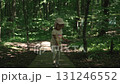 A little girl in pink clothes and a sun cap holds a large long stick and walks along a forest path among tall green trees, listens to sounds and looks around, pokes the stick into the ground 131246552