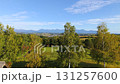 Aerial view of Biei, Hokkaido 131257600