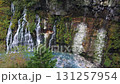 Shirahige Falls, Biei, Hokkaido 131257954