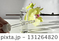 Woman hand holding glass cosmetic pipette with clear facial serum and bottle on light background with orchid and natural sunlight. Skincare beauty product 131264820