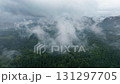 Aerial View of a Misty Forest Landscape Amidst Lush Green Nature in All Its Glory 131297705