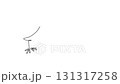 Set of birds, animated self drawing of single continuous line, continuous contour movement, video drawing of line in 4k, ornithology, sparrows, jays, one line 131317258