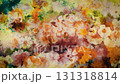 Watercolor-style flowers drawn one after another 2 Loop Paper texture background 131318814