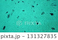 Okinawa Phantom Island Hamajima Yaeyama 131327835