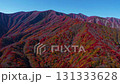 無人機拍攝的壯觀秋葉覆蓋的山脈 131333628