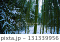 冬日里，白雪皚皚的竹林靜謐的景象 131339956