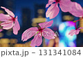 櫻花花瓣飄落的夜景，俯瞰東京鐵塔和晴空塔，未來東京商業區 131341084