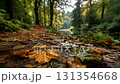 Fallen autumn leaves creating a colorful carpet on a forest path near a river 131354668