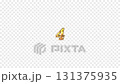 ゴージャス系　ナンバー4 131375935