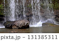 4th tiered  Chat trakan waterfall at chat trakan national park, phitsanulok, Thailand. Beautiful waterfall at National Park in Thailand 131385311