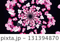 A Mesmerizing Spiral of Pink Blossoms: Stunning Visual Journey Through Flower Petals in a Hypnotic Pattern on a Dark Background. 131394870