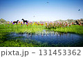 Pond Meadow And Horses 131453362