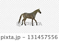 Walking Horse Alpha Channel 131457556