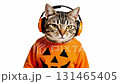 Cat wearing orange pumpkin sweater and headphones, expressing playful energy while engaging with music, showcasing a whimsical and festive atmosphere in a fun setting 131465405