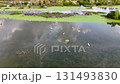 A group of birds are swimming in a pond. There are at least 10 birds in the water 131493830