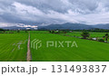 Field of green grass with a few birds flying in the sky. The sky is cloudy and the mood of the image is peaceful and serene 131493837