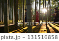 Asian women in traditional Japanese kimono walking through sunlit bamboo forest grove with golden light filtering through tall bamboo stalks creating dramatic shadows 131516858