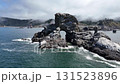 Sea Lion Rock Indian Beach Pacific Ocean 131523896