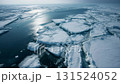 A view of the frigid ocean surface with large and small drift ice floating on the sea. 131524052