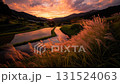 A rural landscape in the mountains with terraced rice fields dyed in the sunset and swaying Japanese pampas grass 131524063