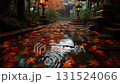 Autumn scenery in the shrine grounds, with autumn leaves scattered on rain-soaked stone pavement 131524066