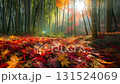 A scene of soft autumn sunlight filtering through a bamboo forest covered with fallen autumn leaves 131524069