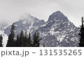 Majestic rocky mountain peaks covered in snow with a dense evergreen forest below, while gray foggy clouds drift across the cold, dramatic alpine landscape during an overcast winter day 131535265