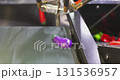 Robotic Arm Sorting Vegetables on Conveyor Belt 131536957