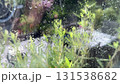 Wet glass with rain outside the window  131538682