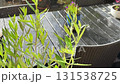 Rainy weather scene with droplets on table  131538725