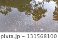 Clear water surface 131568100