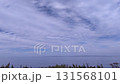 Cloudy sky 131568101