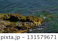 Sea waves crashing against rocky shore with green algae in daylight 131579671