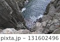 福井縣東尋坊的壯麗景色 131602496