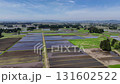 五月日本田園風光鳥瞰圖 五月日本田園風光鳥瞰圖 131602522