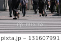 東京，早上上班時，商人們的腳步穿過行人穿越道 131607991