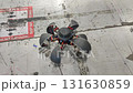 Moving small robot on remote control. Radio controlled robot. Small robot folds into ball and moves on blades. Technology engineering. Industry new robotics. Smart technologies. Robotized innovative 131630859
