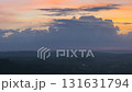 wide pan shot of forest landscape at dawn time 131631794