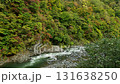 Autumn leaves and valley scenery at Shimukappu Niniu - The natural beauty of Hokkaido in autumn Autumn leaves and valley scenery at Shimukappu Niniu - The natural beauty of Hokkaido in autumn 131638250